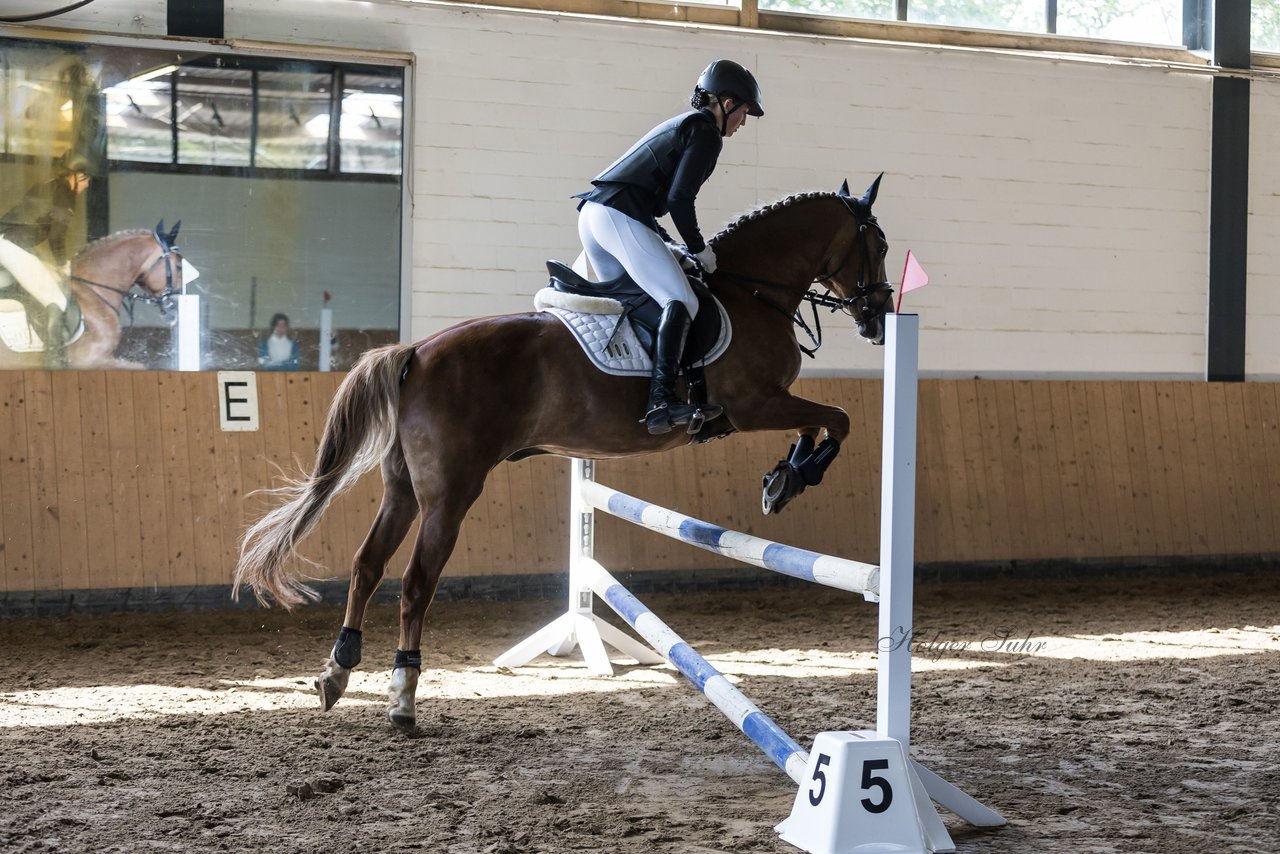 Bild 11 - Pony Akademie Turnier